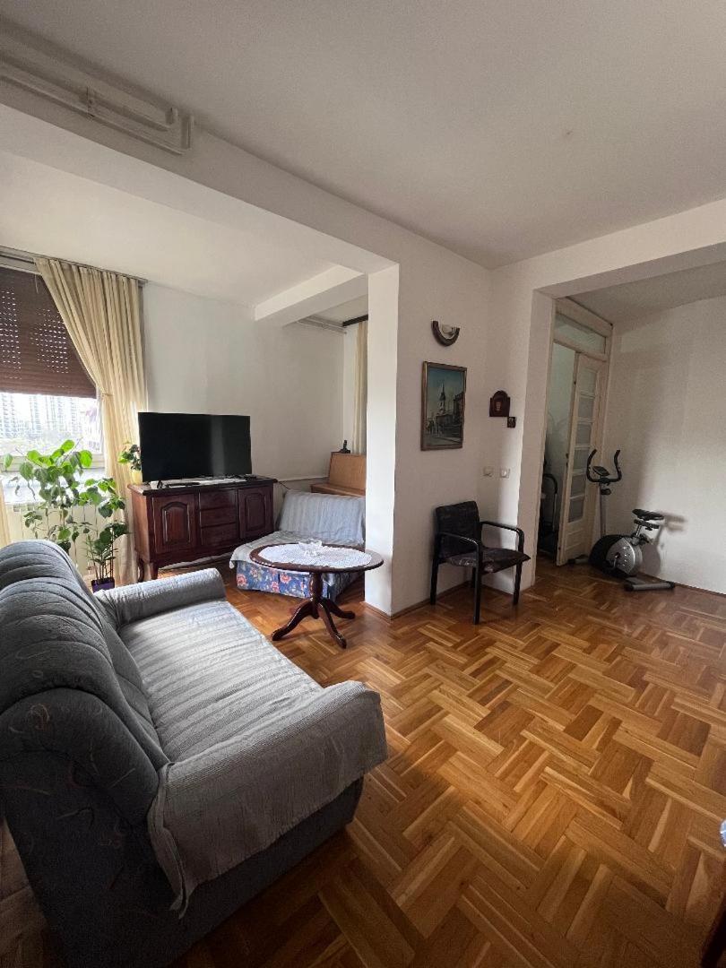 Belgradecity Center-Lekic Apart 1 المظهر الخارجي الصورة